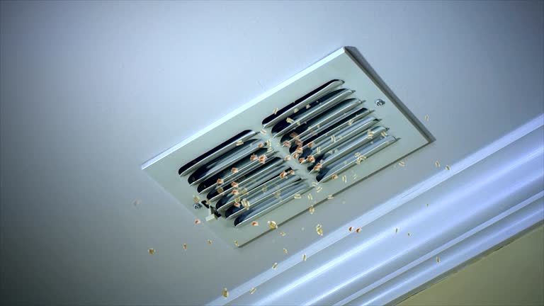 Best HVAC Duct Inspection Services  in Worth, IL