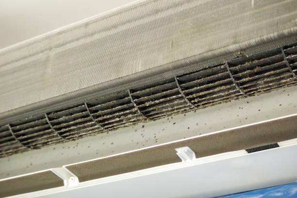 Best Air Duct Cleaning Near Me  in Worth, IL