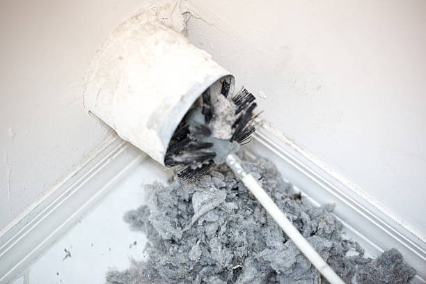 Best Dryer Vent Cleaning Services  in Worth, IL